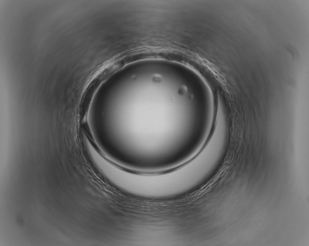 X0000113341165200909151125