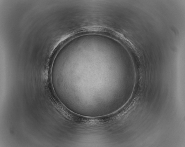 X0000113341166200909151125