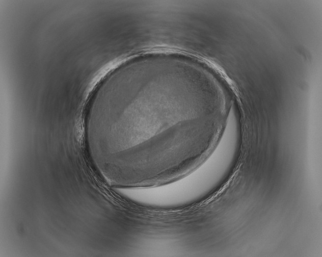 X0000113341167200909151125