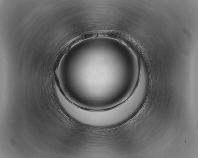 X0000113341169200909151125