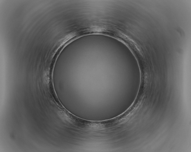 X0000113341170200909151125