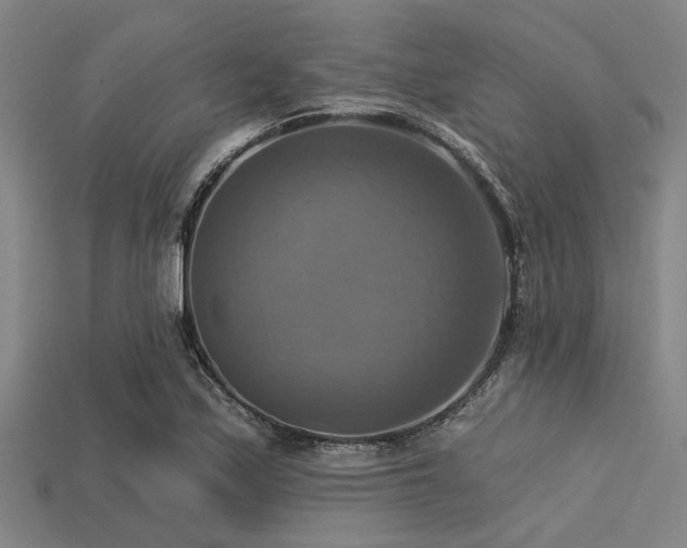 X0000113341171200909151125