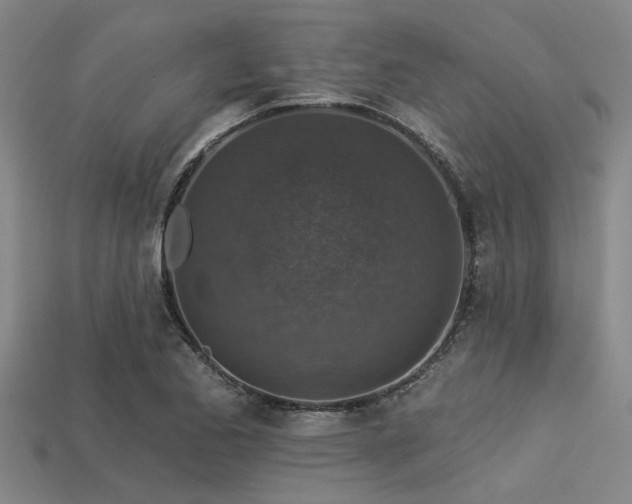X0000113341173200909151125