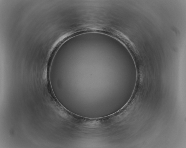 X0000113341174200909151125