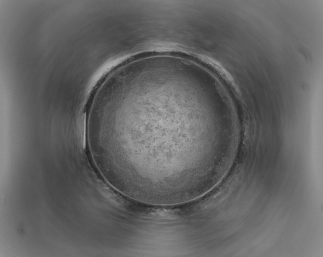 X0000113341175200909151125