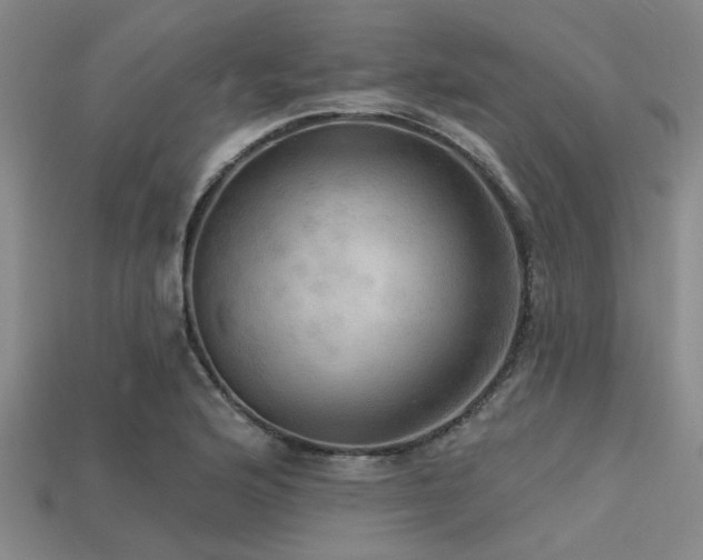 X0000113341176200909151125