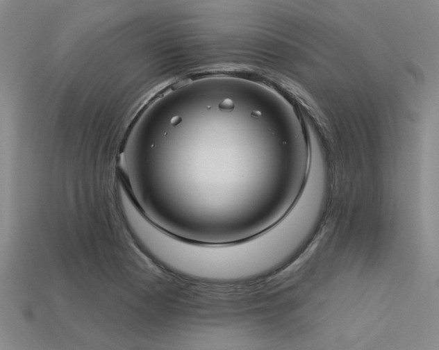 X0000113341177200909151125