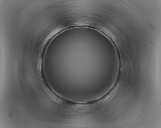 X0000113341179200909151125