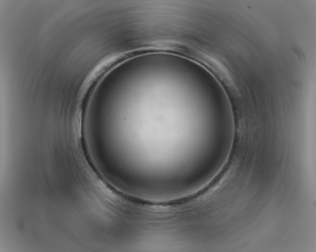 X0000113341180200909151125