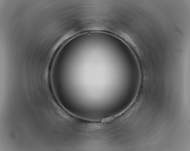X0000113341181200909151125