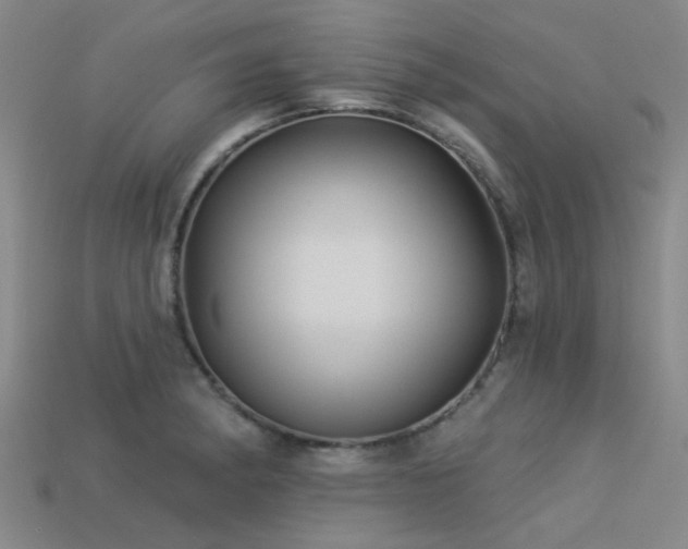 X0000113341182200909151125