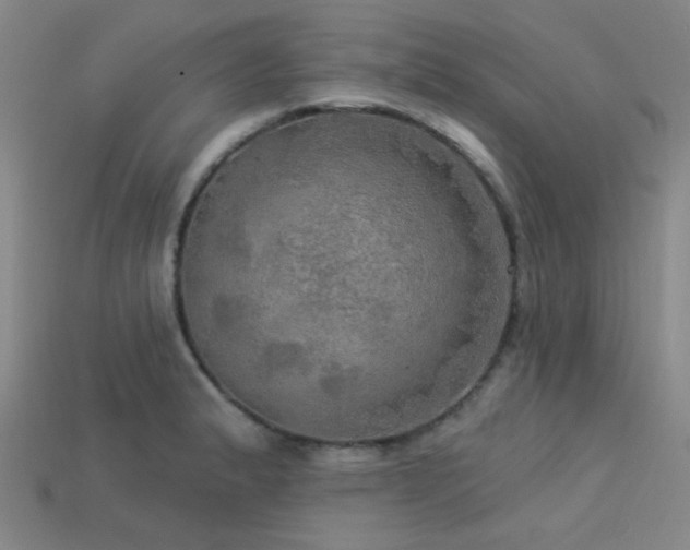 X0000113341183200909151125