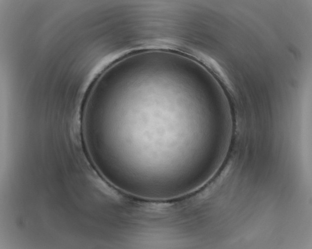 X0000113341184200909151125