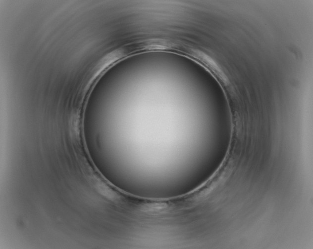 X0000113341186200909151125
