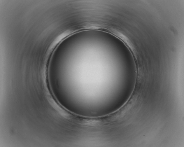 X0000113341187200909151125