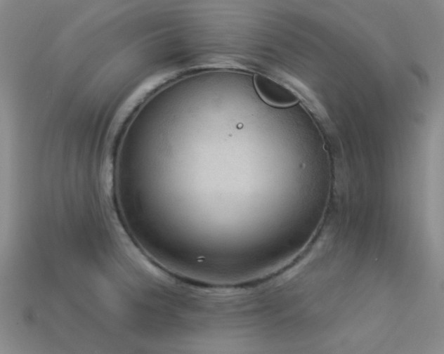 X0000113341188200909151125