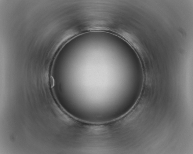 X0000113341189200909151125