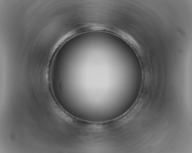 X0000113341190200909151125