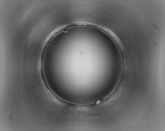 X0000113341191200909151125