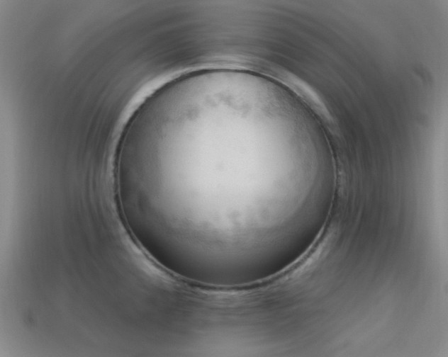 X0000113341192200909151125