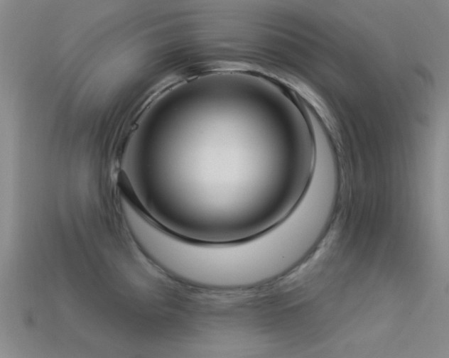 X0000113341193200909151125
