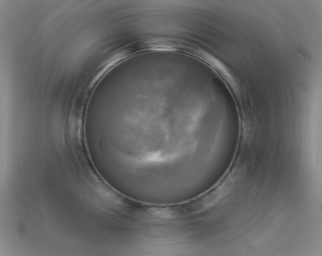 X0000113341194200909151125