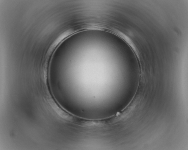 X0000113341195200909151125