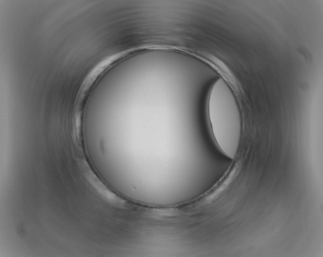 X0000113341196200909151125