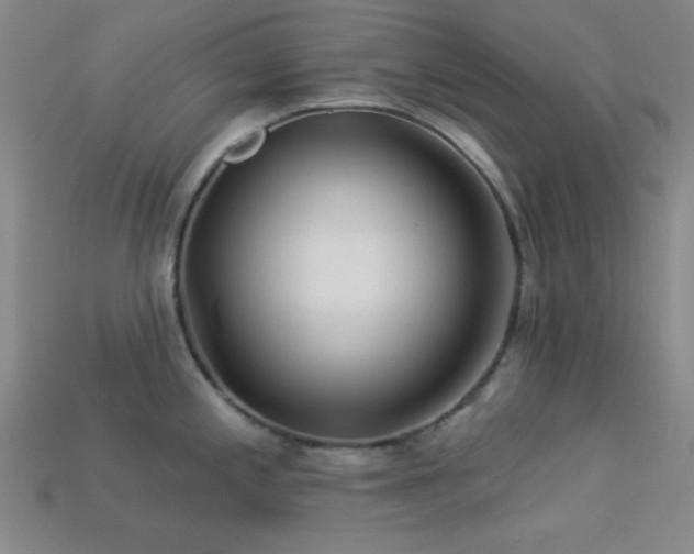 X0000113341197200909151125