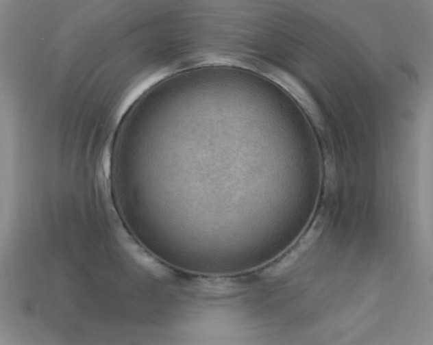X0000113341198200909151125