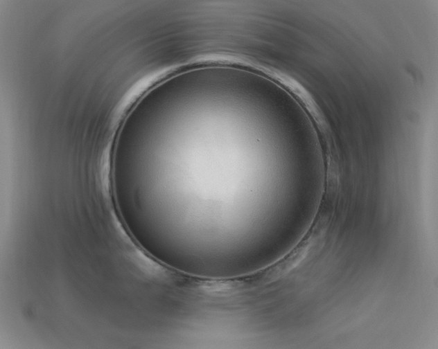 X0000113341199200909151125