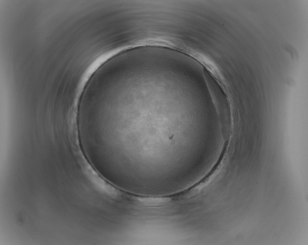 X0000113341200200909151125