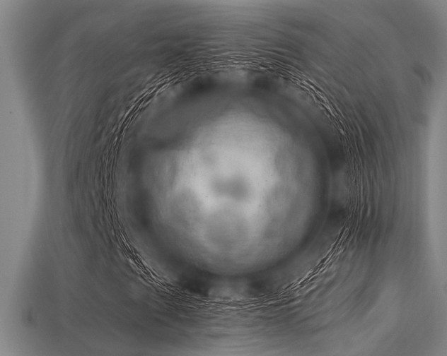 X0000113341201200909151124