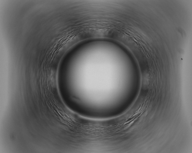 X0000113341202200909151124
