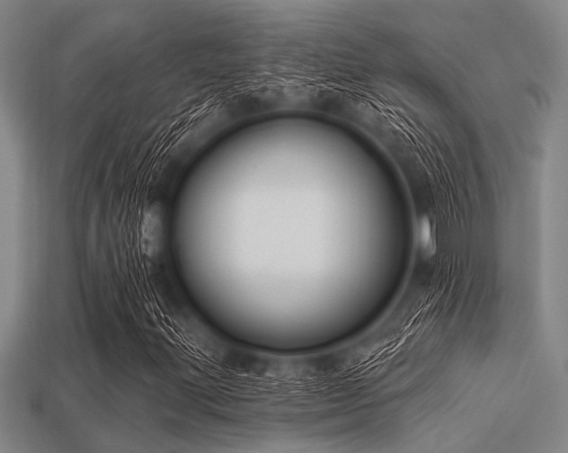 X0000113341203200909151124