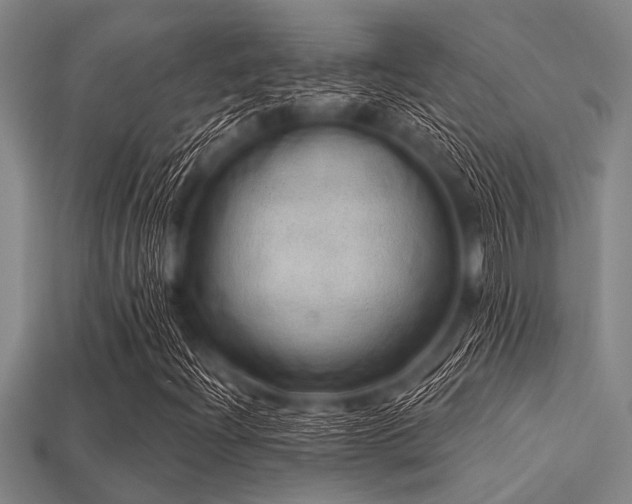 X0000113341204200909151124