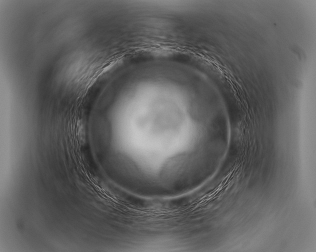 X0000113341205200909151124