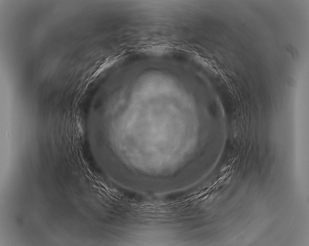 X0000113341206200909151124