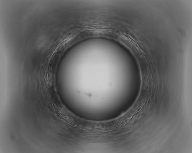 X0000113341207200909151124