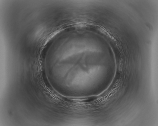 X0000113341208200909151124