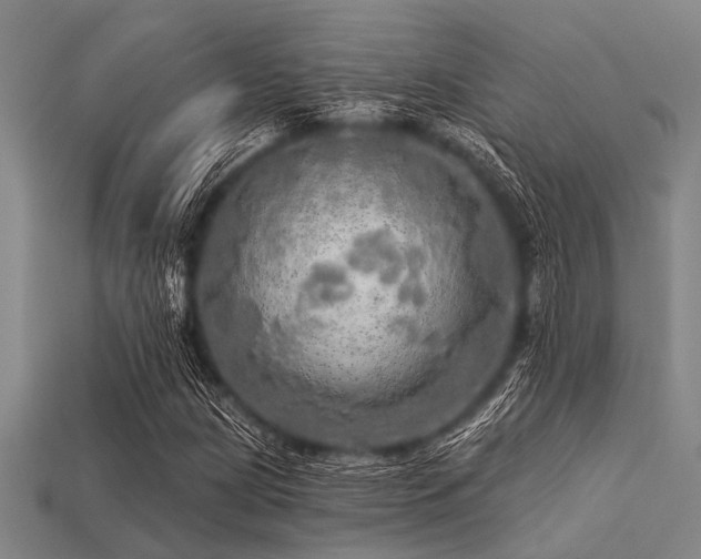 X0000113341209200909151124