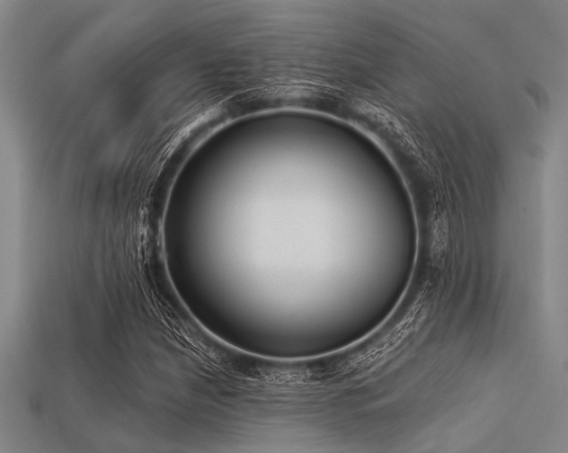 X0000113341210200909151124