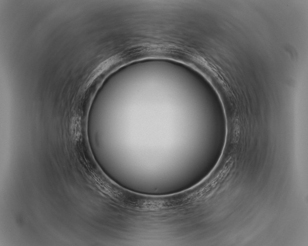 X0000113341211200909151124