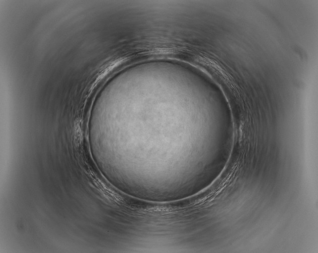 X0000113341212200909151124