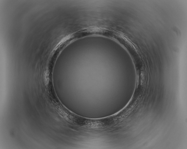 X0000113341213200909151124