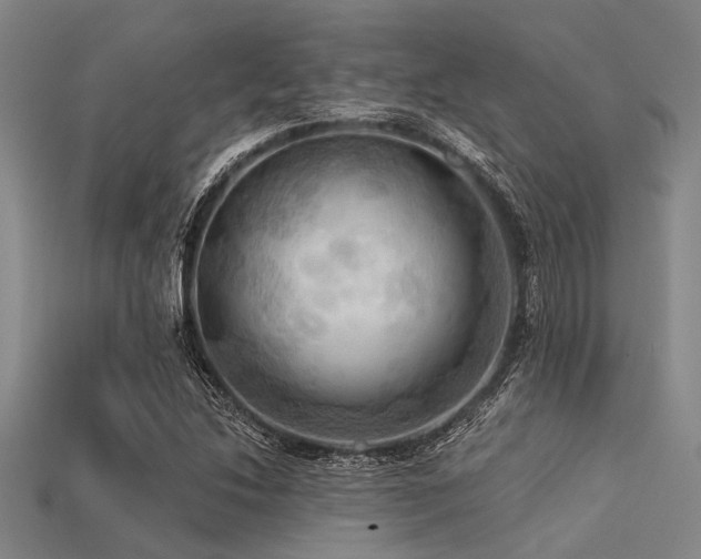 X0000113341214200909151124