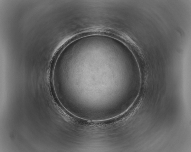 X0000113341216200909151124