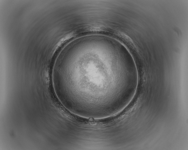 X0000113341218200909151124