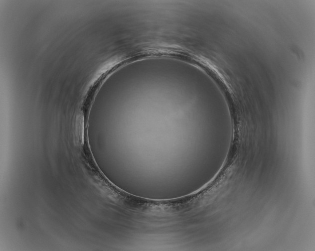 X0000113341219200909151124