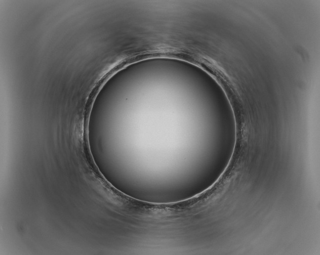 X0000113341220200909151124